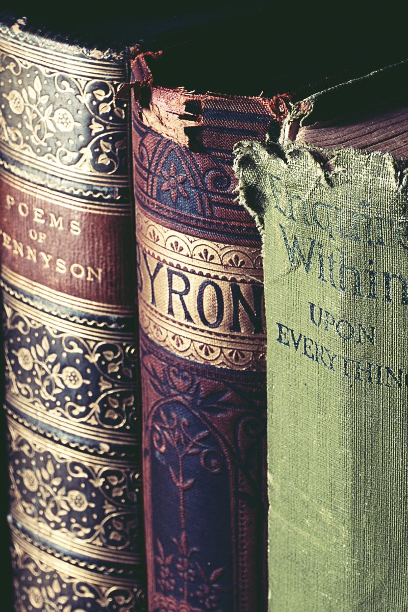 decorative book spines